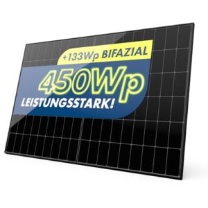 Solarmodul 450W Bifazial Glas-Glas PV-Module mit 2x2mm Glas, modernster n-Type Technology, Erweiterungs-Module für Ihre Mini-Solaranlage, Balkonkraftwerk oder DIY Komplettanlage