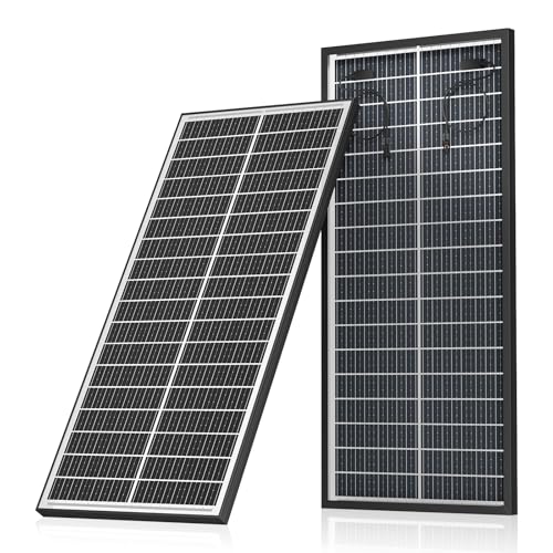 120W Bifaziales Solarpanel, Monokristallines Photovoltaik Solarzelle, Doppelseitige Solarmodul für 12V Batterien, PV Modul mit Vorgebohrtem LochIdeal Unterstützung in Trolling, Camping, Wohnmobil