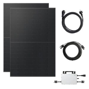 Kleines Kraftwerk 900W Balkonkraftwerk ohne Halterung (bifazial)| Balkonkraftwerk 800W komplett Steckdose, 5m Kabel | 800W Wechselrichter | Solaranlage Komplettset | 2x 450W Solarmodule