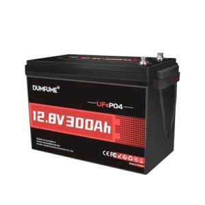 Dumfume LiFePO4 12V 300Ah Batterie mit 200A BMS, 3840W Leistung - 12V Lithium Batterie für Wohnmobile, Solar Speicher, Camping, Tiny House, Stromspeicher für Zuhause