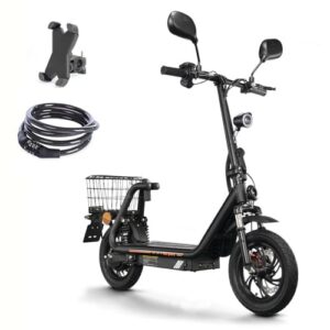 TWOFISH Elektroroller mit Straßenzulassung – 500W E Scooter mit 48V 13Ah Akku, 30 km Reichweite, 12-Zoll Reifen, Vorder-/Hinterfederung, EEC-Zulassung, M5-PRO-E (Schwarz)