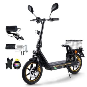 TWOFISH E Scooter mit EEC Zulassung, 500W Elektro Scooter mit 48V 13Ah Akku, 30 km Reichweite, 14" Reifen, doppelte Federung, 3 Geschwindigkeiten, Elektroroller Erwachsene mit LED-Display (Schwarz)