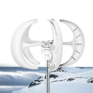 AISINILALAO 220V,10000W geräuscharme Windkraftanlage mit vertikaler Achse, 5 Blätter 12V / 24V 48V 220V Generator Windmühle Generate Turbin Komplettes Set für Zuhause, Boote, Straßenbeleuchtung