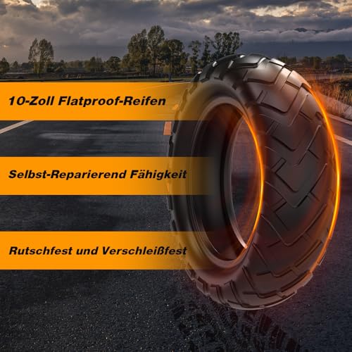 RCB D5 E-Scooter mit ABE, 100KM, 20.8Ah, 500W – Bild 6