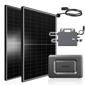 Balkonkraftwerk 1000W mit Speicher Dyness Junior Box 1600Wh, 800W TSUN Micro Wechselrichter, 2x500W Bifaziale Solarmodule, Solaranlage mit Stromspeicher Photovoltaik PV Anlage für Haus Balkon