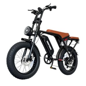 DEEPOWER Elektrofahrrad, 20“ E-Bike, 48V 20Ah Abnehmbarem Akku, 250W Motor, Reichweite 80km(PAS), Duale Lichter, Ebike für Erwachsene Herren