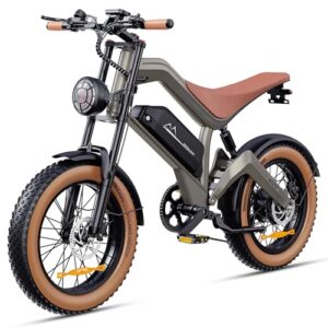 FREEJOYER E Bike Herren, 20 * 4.0" All-Terrain Fat Reifen Elektrofahrrad mit 250W Motor 48V 18.2Ah Akku, 25km/h bis zu 161km, NFC-Karte 7-Gang Getriebe Hydraulische Bremsen, M20