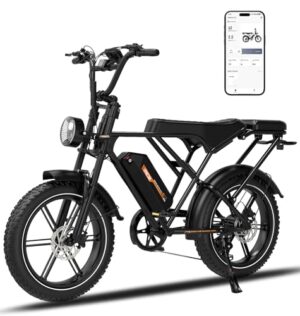RCB G19 20'' E Bike, Elektrisches Mountainbike für Erwachsene, Pendel-Elektrofahrrad mit Abnehmbarem 48-V-20.8-Ah-Akku, Reichweite 35–90 km