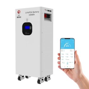 SaiJiaoYang 15kWh 48V(51.2V) 314Ah LiFePO4, 51.2V Lithium Batterie 3000~10000 Zyklen Wiederaufladbare mit 200A BMS Max 10240W Ausgangsleistung für Photovoltaik, Solaranlagen Netzunabhängige