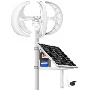 ZenSeFarin Windkraftanlage 3000W,4000W,5000W 12V,24V,48V Windturbine Generator Laterne Vertikale Windgenerator 5 Blätter Windkraftanlage mit Controller Weiß,3000W-24V