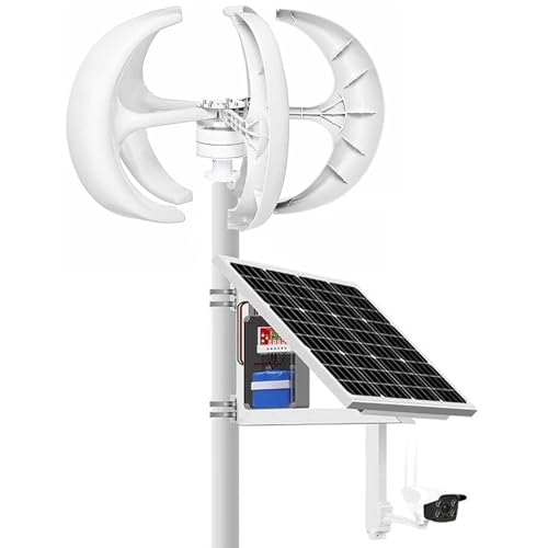 ZenSeFarin Windkraftanlage 3000W,4000W,5000W 12V,24V,48V Windturbine Generator Laterne Vertikale Windgenerator 5 Blätter Windkraftanlage mit Controller Weiß,3000W-24V